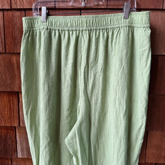 NWT Madewell Green Crinkle Fabric Elastic Waist Straight Pants - Women's X-Large - Picture 8 of 10